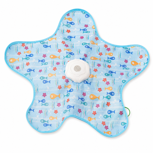 Interactive Peek-a-Boo Cat Toy