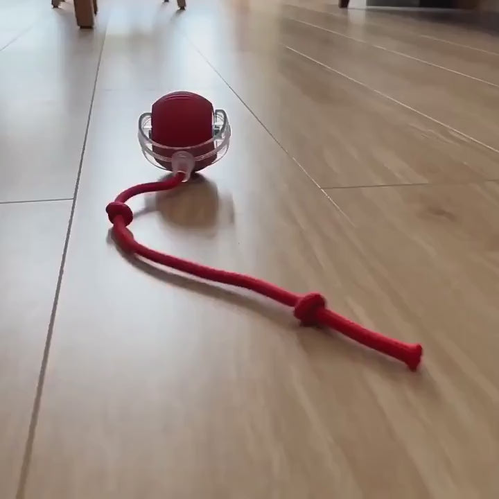 Smart Cat Ball with Tail